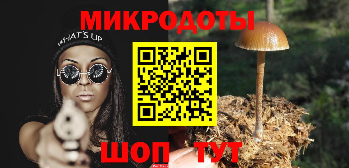 Галлюциногенные грибы мухоморы Сергиев Посад