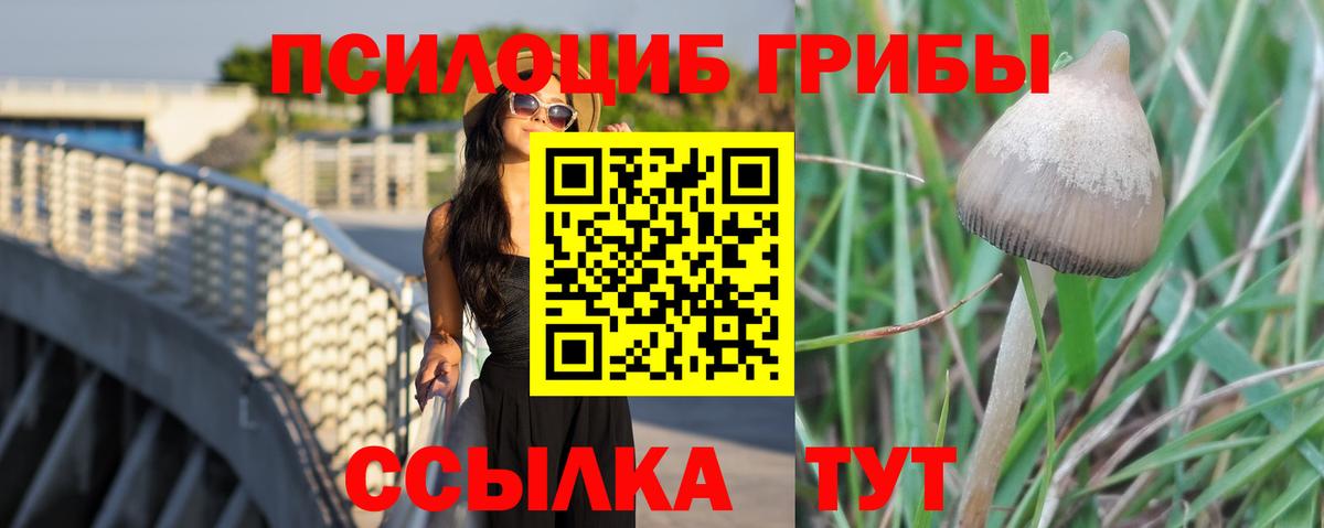Сергиев Посад  Галлюциногенные грибы MAGIC MUSHROOMS  купить   Вход с VPN 